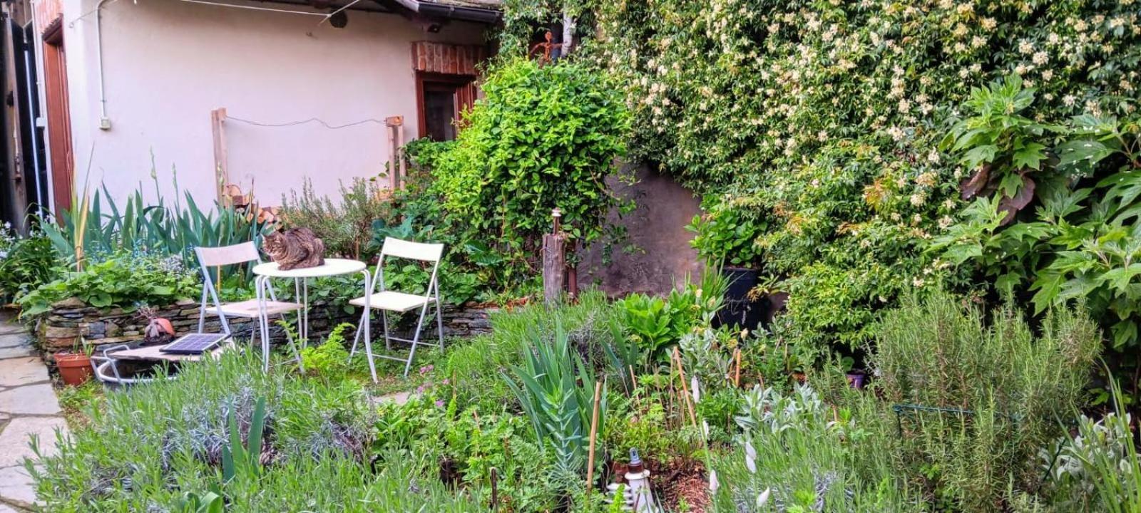 La Marmotta Hotel Luserna San Giovanni Buitenkant foto